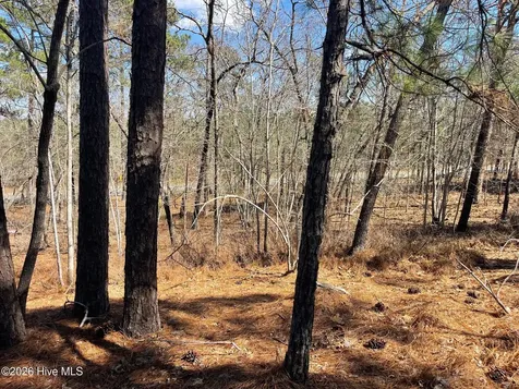 445 Longleaf Drive West End NC 27376