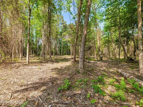0 Bridge Side Drive E Jacksonville NC 28546