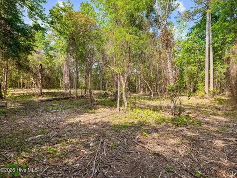0 Bridge Side Drive E Jacksonville NC 28546