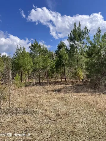 0 Split Drive SE Bolivia NC 28422