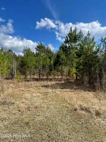 0 Split Drive SE Bolivia NC 28422