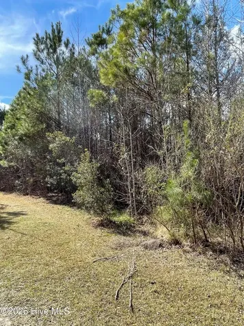 0 Split Drive SE Bolivia NC 28422