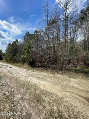 0 Split Drive SE Bolivia NC 28422