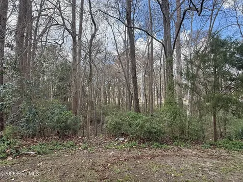 4160 Brook Creek Lane Greenville NC 27858
