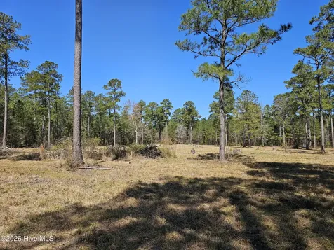 Lot 33 Bailey Pointe Drive Belhaven NC 27810