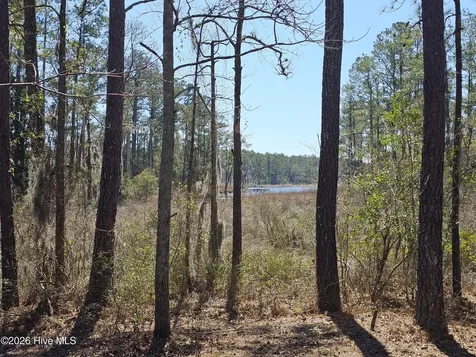 Lot 33 Bailey Pointe Drive Belhaven NC 27810