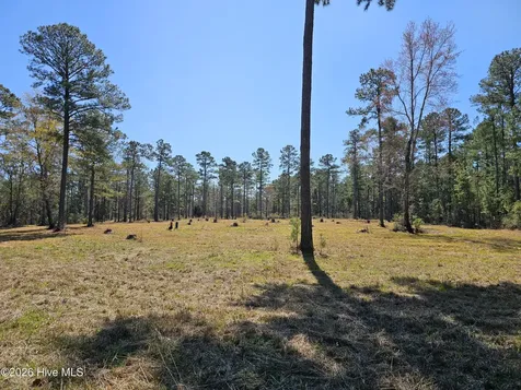 Lot 33 Bailey Pointe Drive Belhaven NC 27810