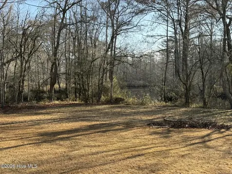 103 Raccoon Washington NC 27889