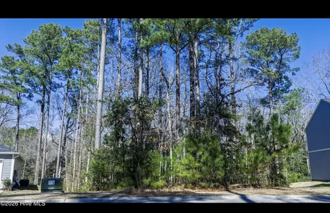 2607 Twin Leaf Court SE Bolivia NC 28422