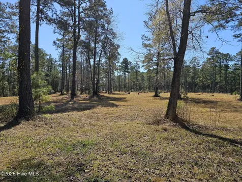 Lot 32 Bailey Pointe Drive Belhaven NC 27810