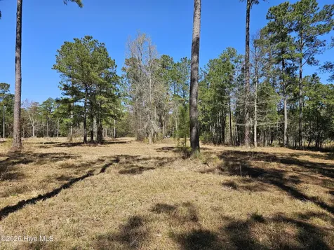 Lot 32 Bailey Pointe Drive Belhaven NC 27810