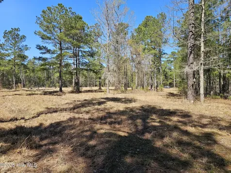 Lot 32 Bailey Pointe Drive Belhaven NC 27810