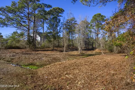 327 Chadwick Shores Drive Sneads Ferry NC 28460