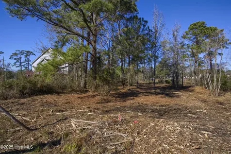 327 Chadwick Shores Drive Sneads Ferry NC 28460