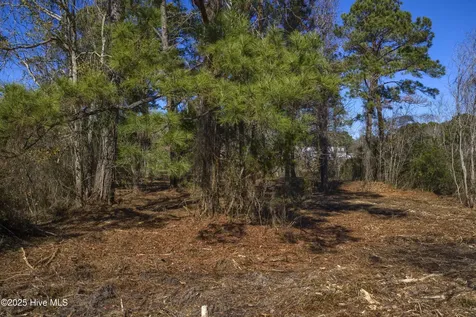 327 Chadwick Shores Drive Sneads Ferry NC 28460