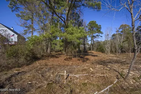 327 Chadwick Shores Drive Sneads Ferry NC 28460