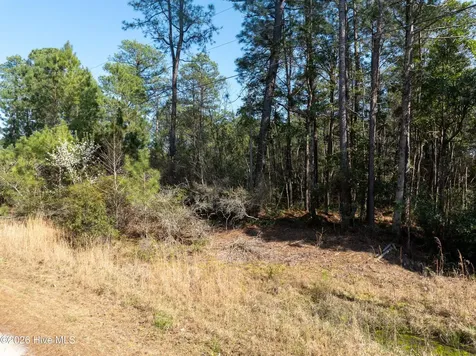Lot 14 Brickyard Road Hampstead NC 28443