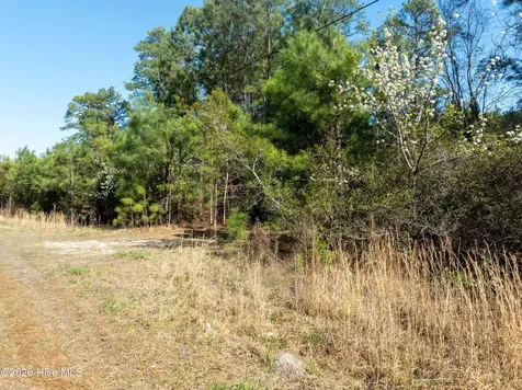 Lot 14 Brickyard Road Hampstead NC 28443
