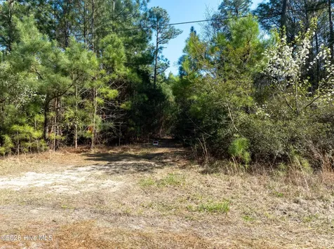 Lot 14 Brickyard Road Hampstead NC 28443