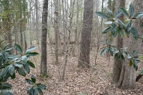 18 Bridgewater Drive S Bath NC 27808