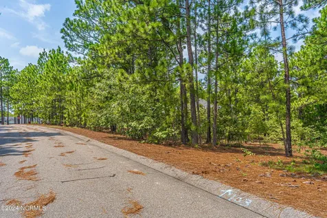 101 Andrews Seven Lakes NC 27376