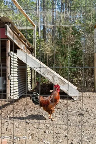 460 Oakey Point Road Hampstead NC 28443