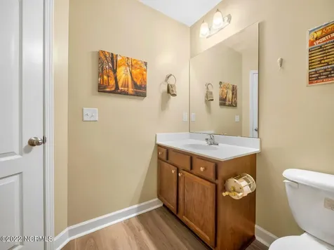 423 Blue Pennant Court Sneads Ferry NC 28460