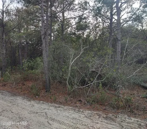 2356 Sandpiper Road Corolla NC 27927