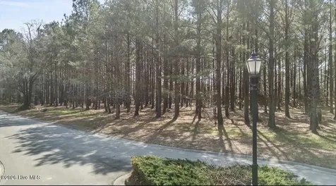 121 W Grandiflora Drive Wallace NC 28466