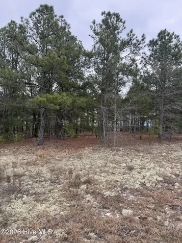 138 Batton Road Hamlet NC 28345