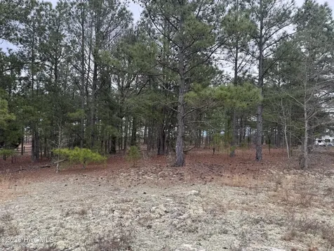138 Batton Road Hamlet NC 28345
