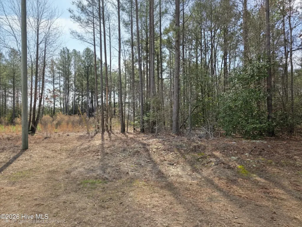 275 Raynor Sands Drive Dunn NC 28334