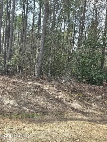 275 Raynor Sands Drive Dunn NC 28334