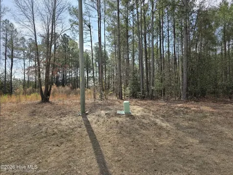 275 Raynor Sands Drive Dunn NC 28334