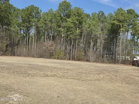 290 Raynor Sands Drive Dunn NC 28334