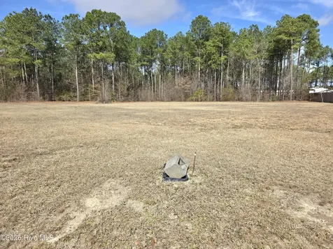290 Raynor Sands Drive Dunn NC 28334