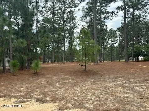 11 Wicker Sham Court W Pinehurst NC 28374