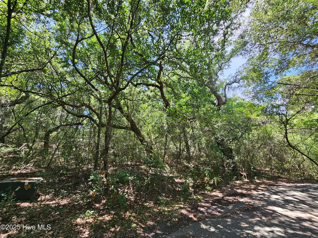 5 Brunswick Court Bald Head Island NC 28461