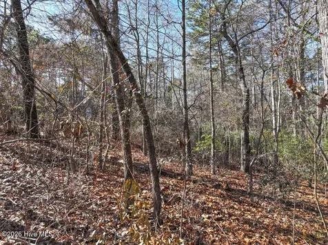 95 Bridle Path Circle Pinehurst NC 28374