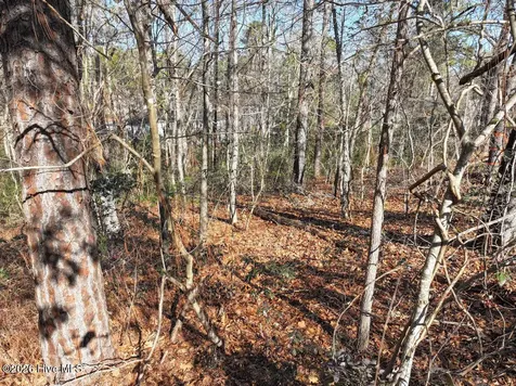 95 Bridle Path Circle Pinehurst NC 28374