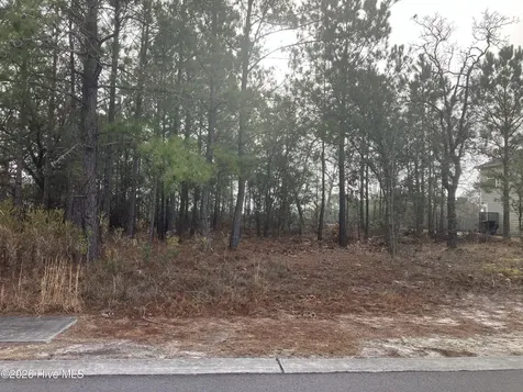 3059 Boverie Street SW Shallotte NC 28470