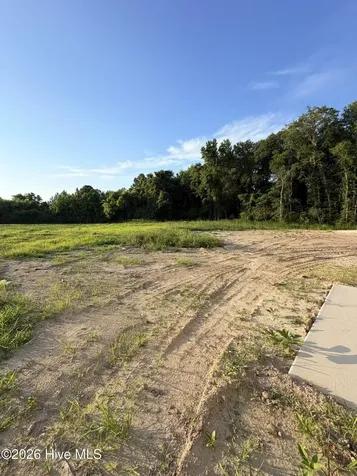 110 Palo Alto Park Drive Maysville NC 28555