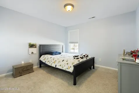 21 Violetear Ridge Hampstead NC 28443
