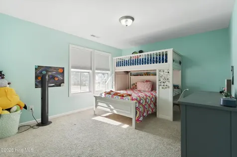21 Violetear Ridge Hampstead NC 28443