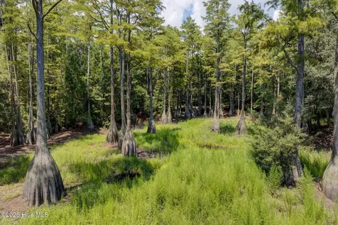 151 Pansy Lane Hampstead NC 28443