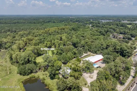 151 Pansy Lane Hampstead NC 28443