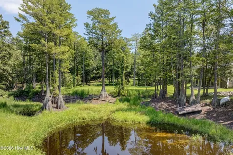 151 Pansy Lane Hampstead NC 28443