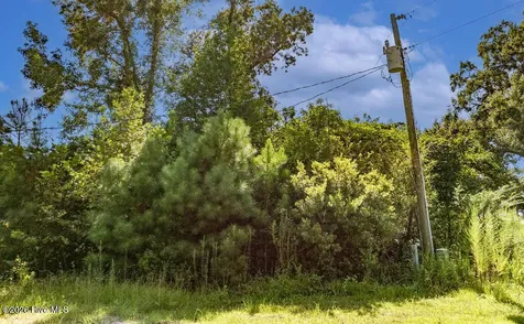 133 Shade Tree Lane SW Supply NC 28462