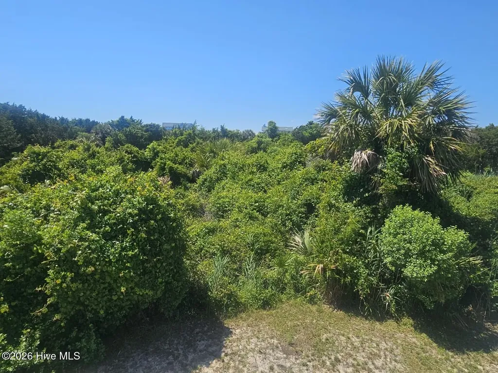 11 Horsemint Trail Bald Head Island NC 28461