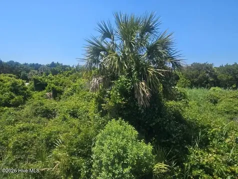 11 Horsemint Trail Bald Head Island NC 28461